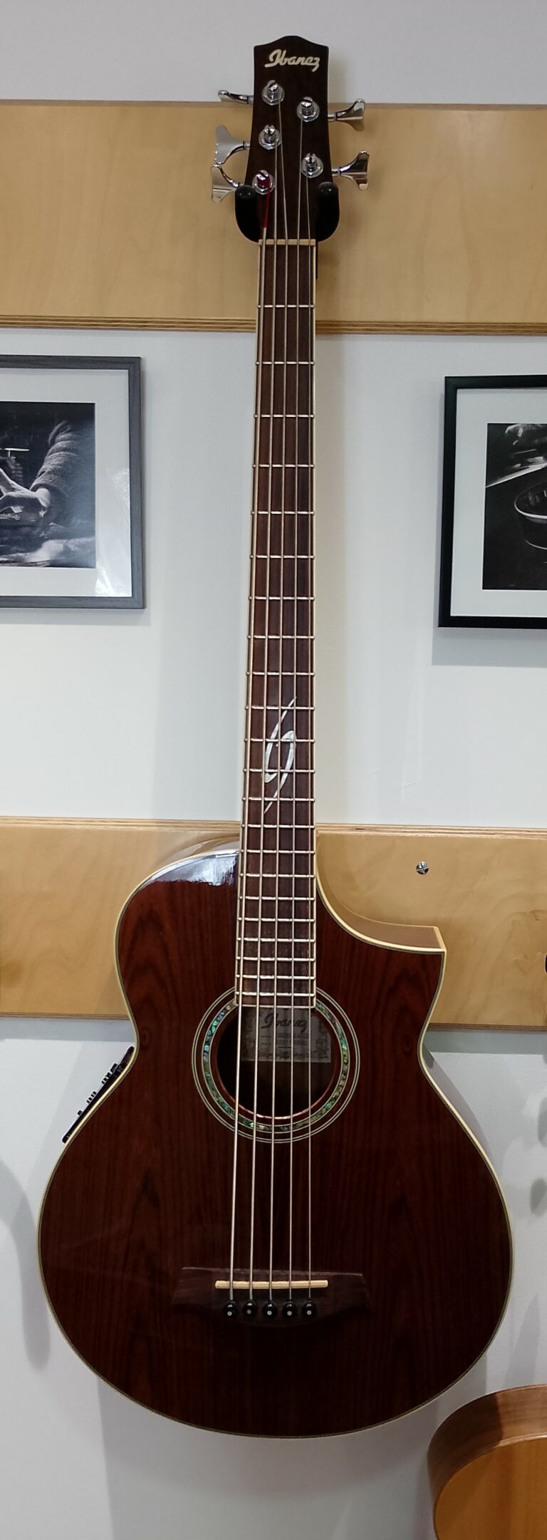 Basse acoustique 5 cordes (1)