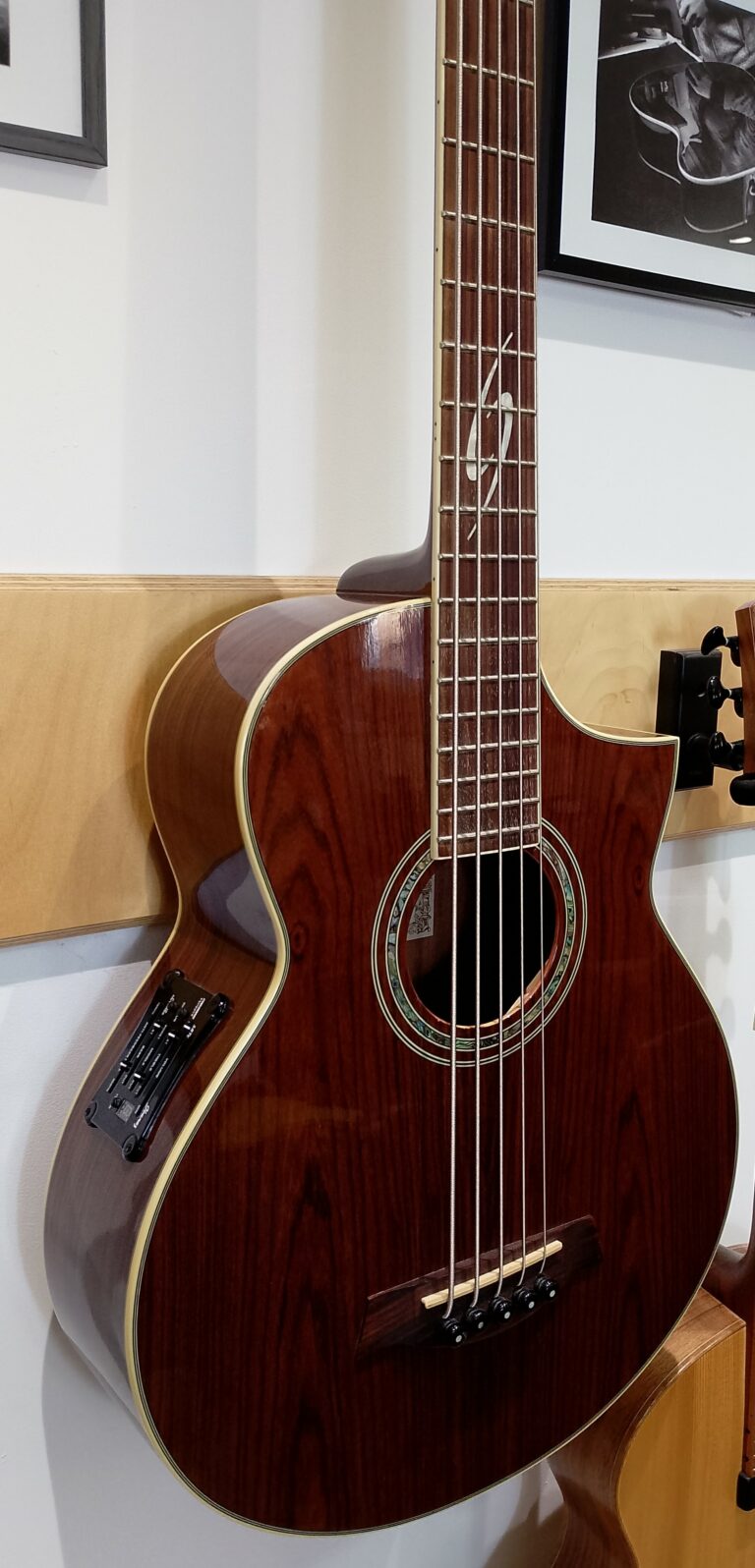 Basse acoustique 5 cordes (2)