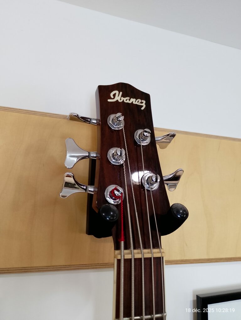 Basse acoustique 5 cordes (3)