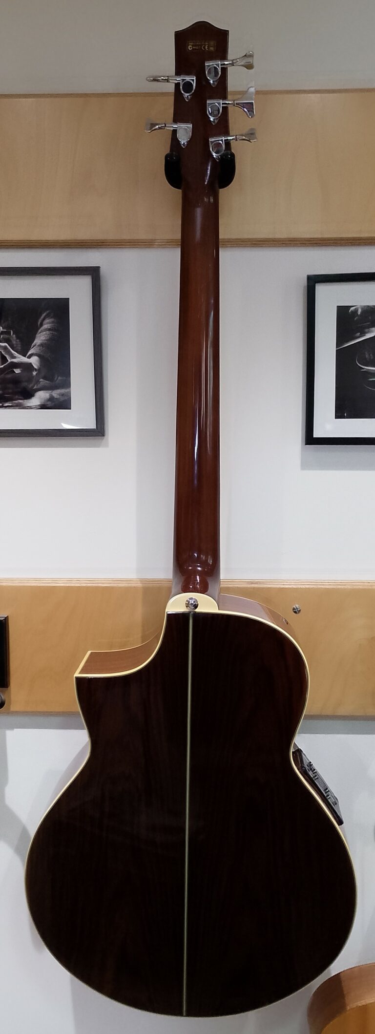 Basse acoustique 5 cordes (5)