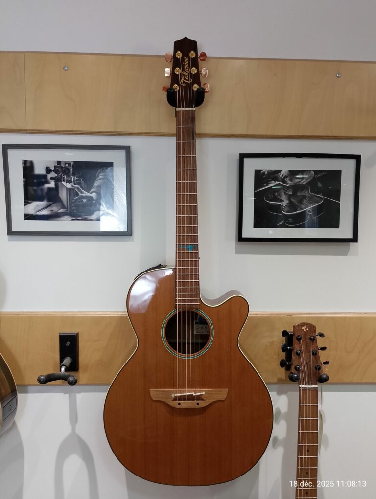 Takamine Santa Fé TSF40C (1)