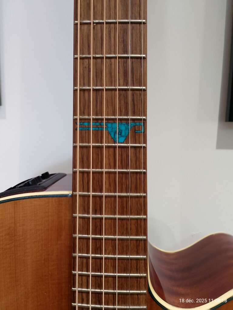 Takamine Santa Fé TSF40C (2)