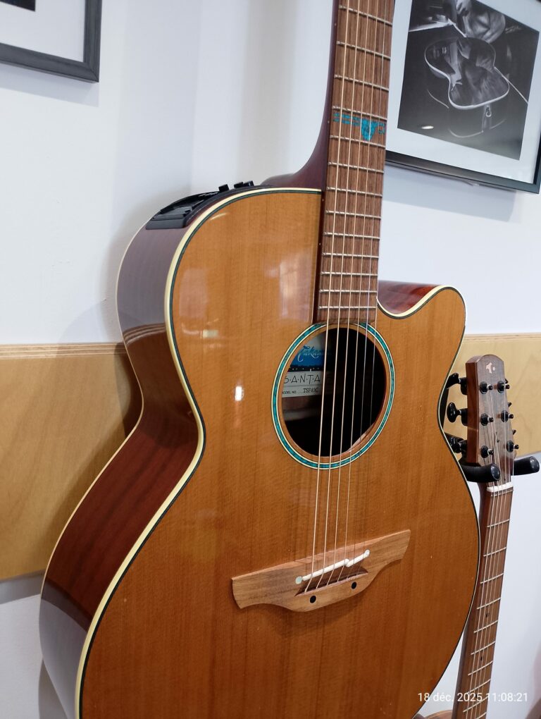 Takamine Santa Fé TSF40C (3)