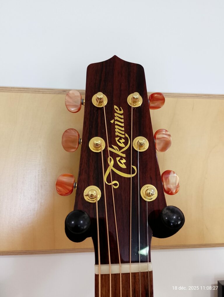 Takamine Santa Fé TSF40C (4)