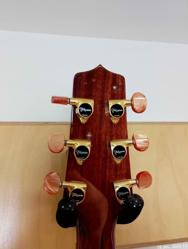 Takamine Santa Fé TSF40C (5)