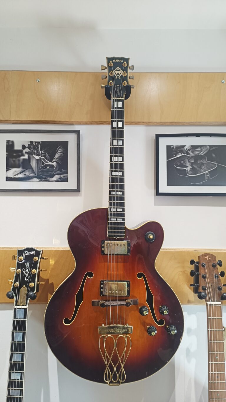 Yamaha AE1200 (3)