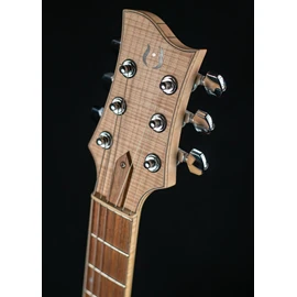 osiris-stray-notes-herve-berardet-guitare-et-creation_639066795991092733